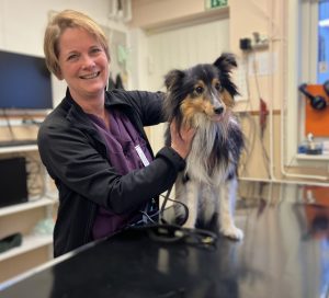 Leende kvinna håller en liten långhårig hund som står på ett behandlingsbord.