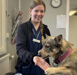Leende kvinna med flätat hår håller fram handen till en liten grå hund.